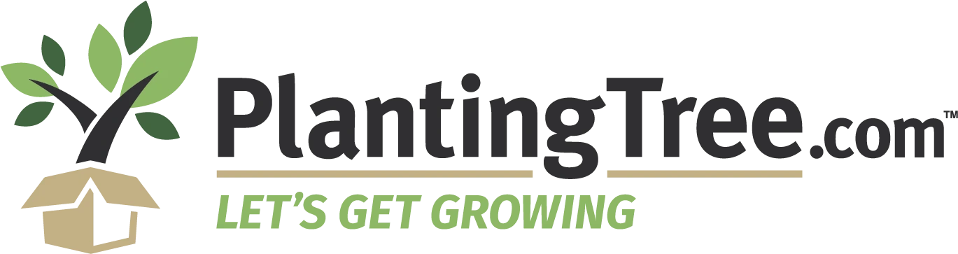 PlantingTree